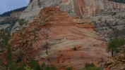 PICTURES/Leaving Zion on Mt. Carmel Hwy/t_Whirled Red Rock4.JPG